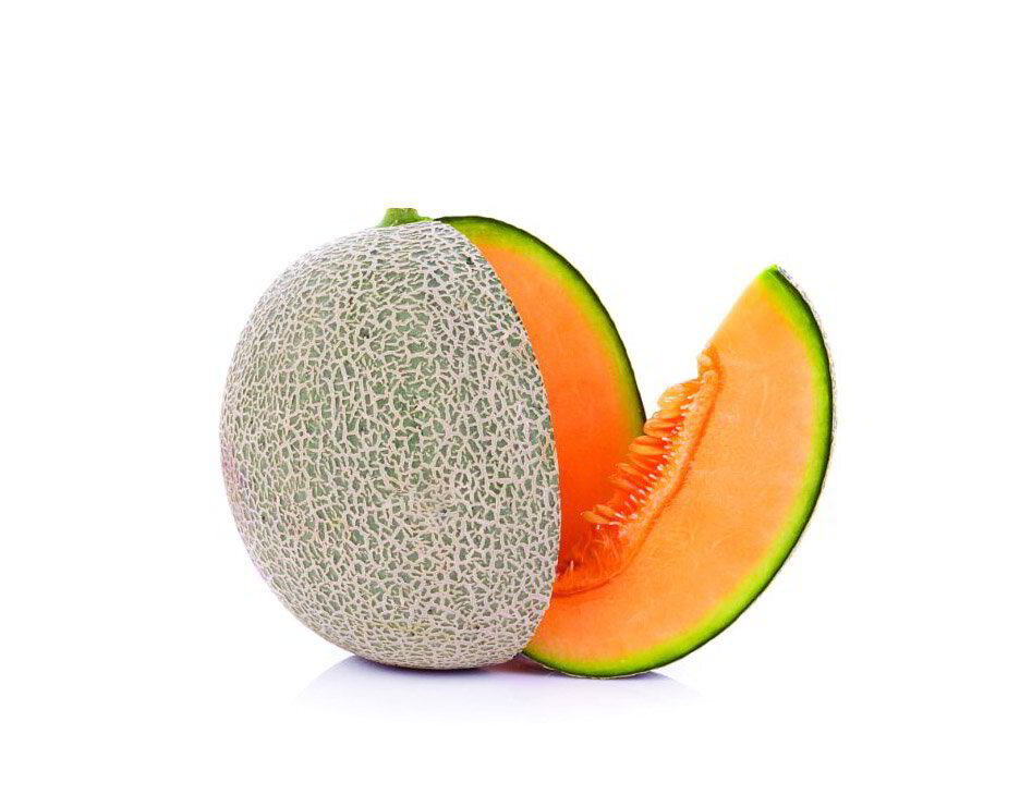 Cantaloupe-meloen | 3,00€ per/st