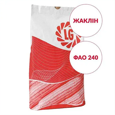 Насіння кукурудзи Жаклін Limagrain ФАО 230 Кукурудза високої врожайності