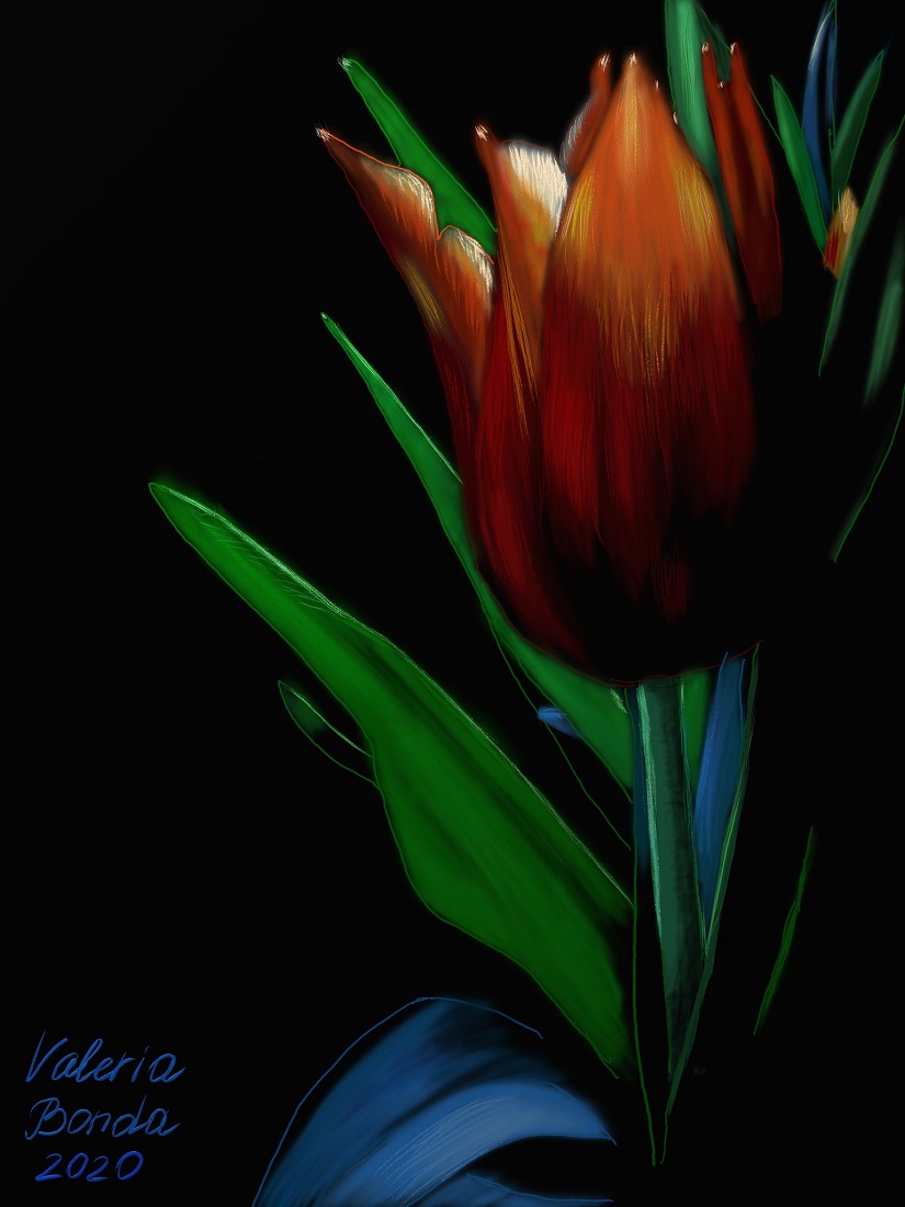 "Love Tulip". Original digital print by Valeria Bonda, printed on a hoodie (unisex)