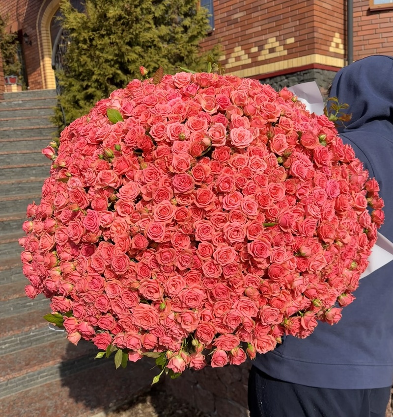 201 гілкова троянда "Пінк Ванесса"