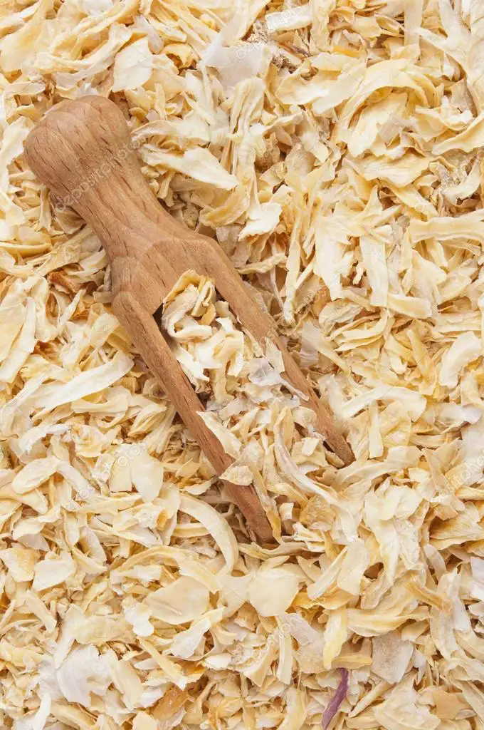 Цибуля різана