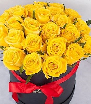 🌼 Троянда чайно-гібридна "Керн" (Kern)