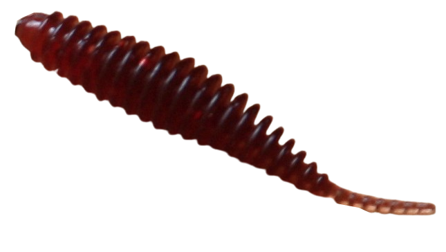 Tanta 1.8