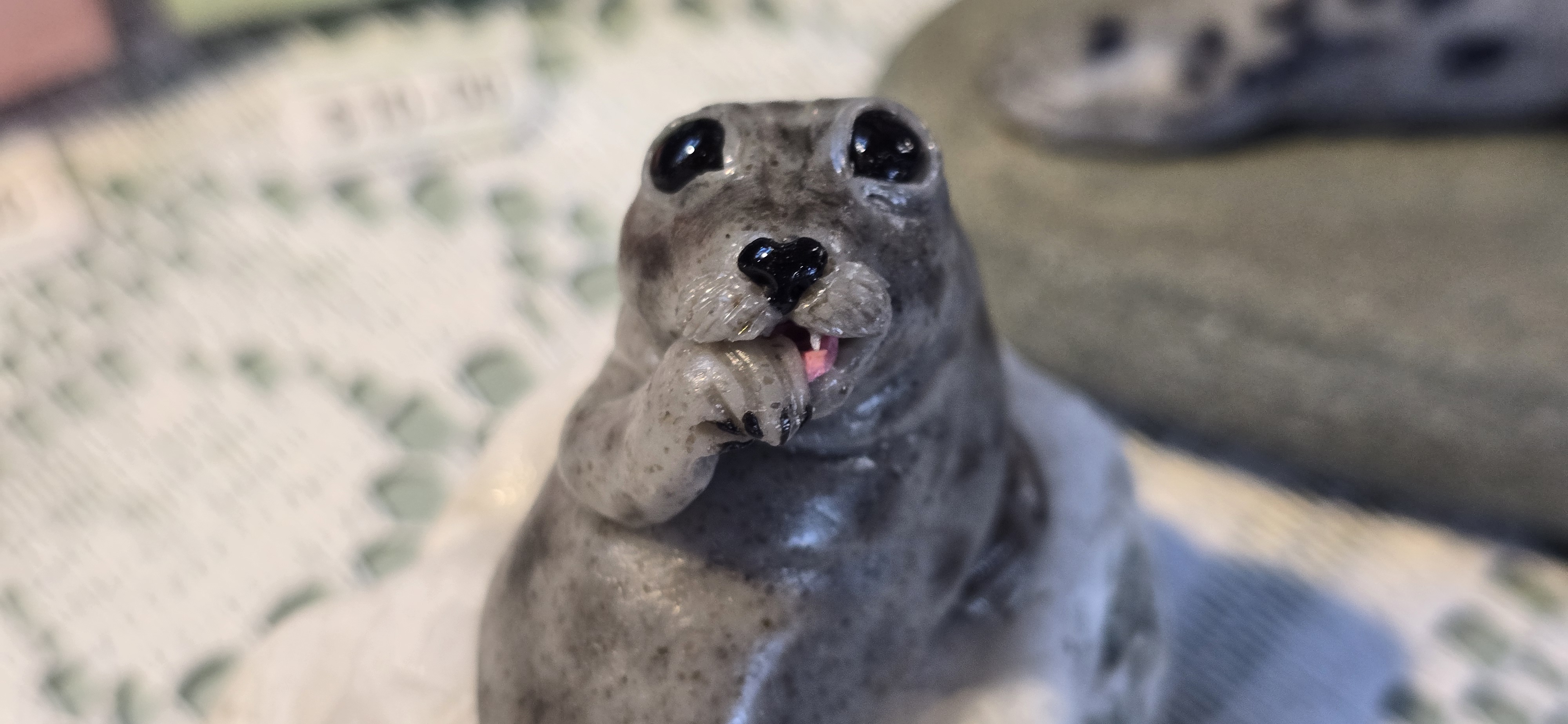 Cute Seal 