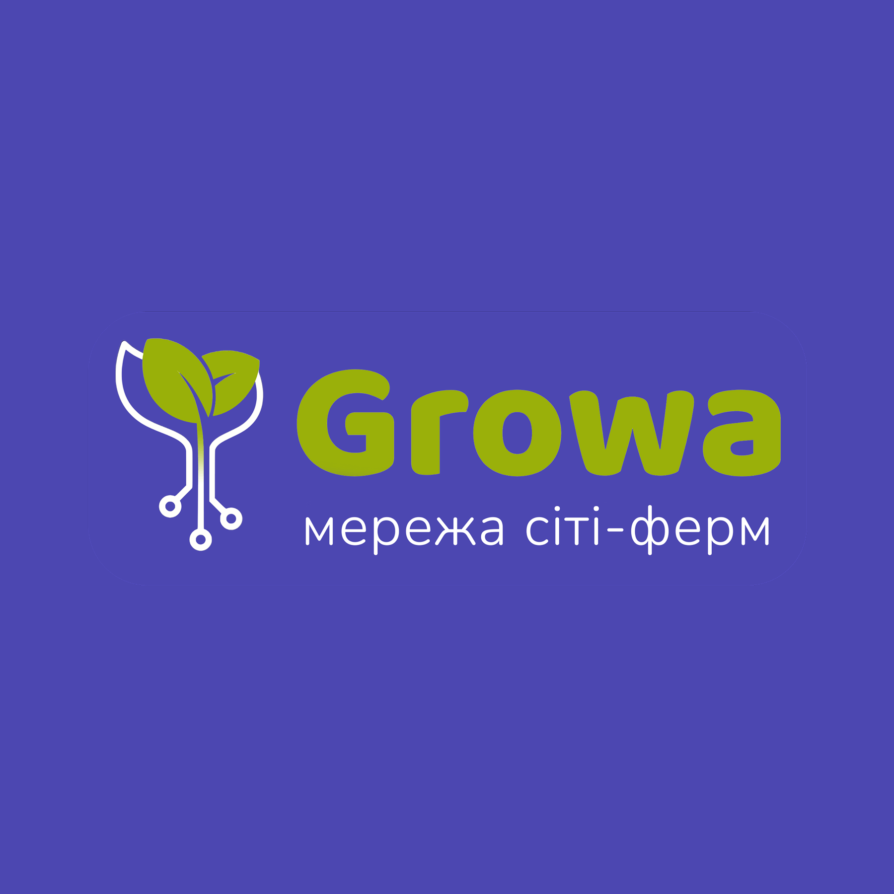 Сіті-ферма мікрозелені
