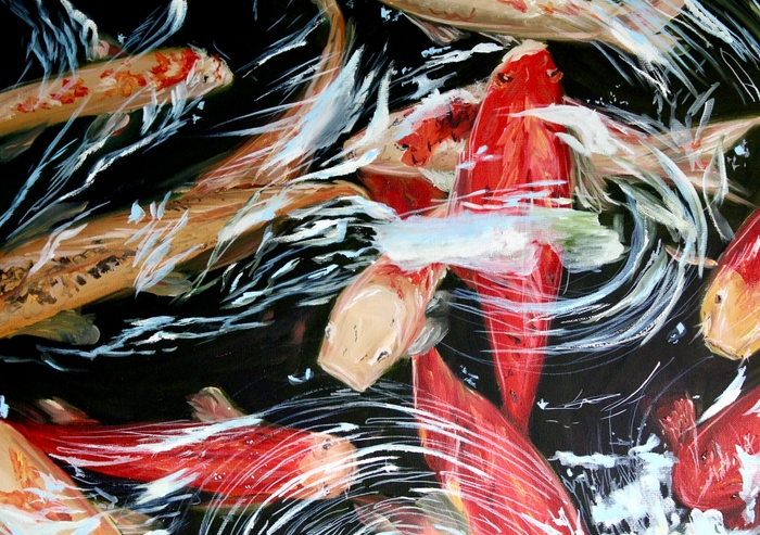 Koi