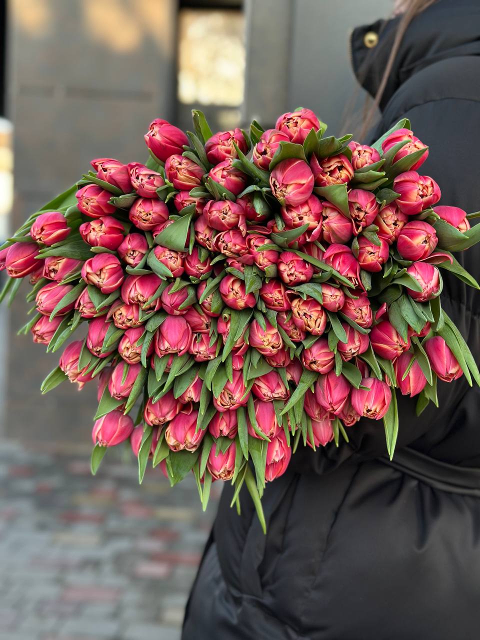 Тюльпан піоновидний сорту Columbus 50-55cм