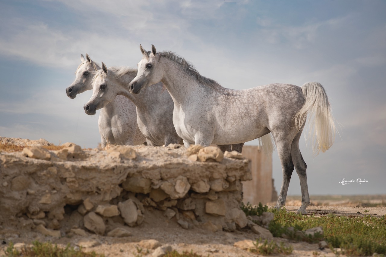 Sisters at Al Jumail