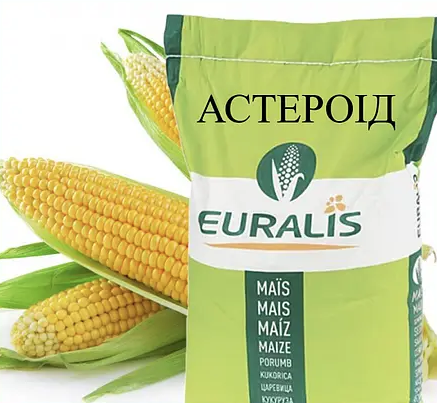 Насіння кукурудзи гібрид ЄС Астероїд ФАО 290 Кукурудза високої врожайності