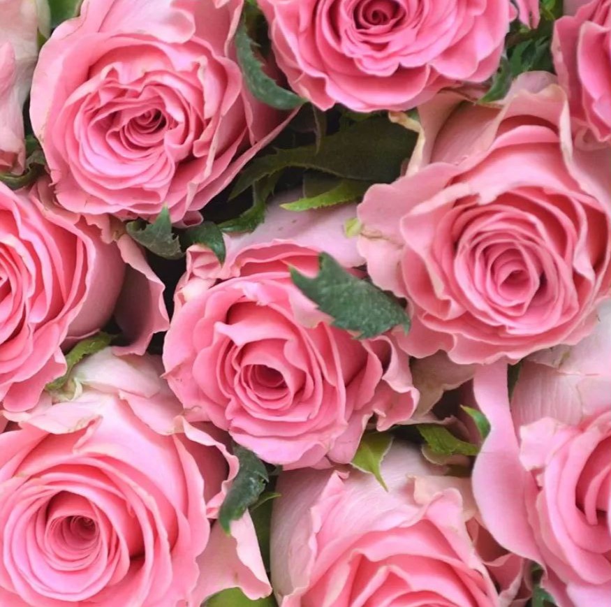 Седактив (Seductive)