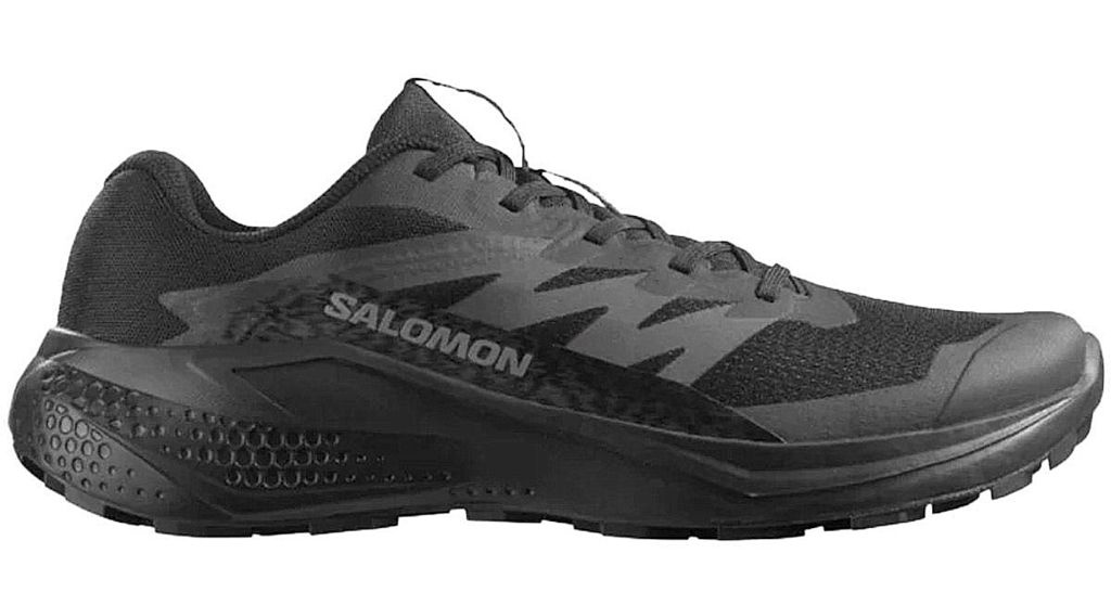 Чоловічі кросівки для бігу SALOMON ALPHAGLIDE (479483)