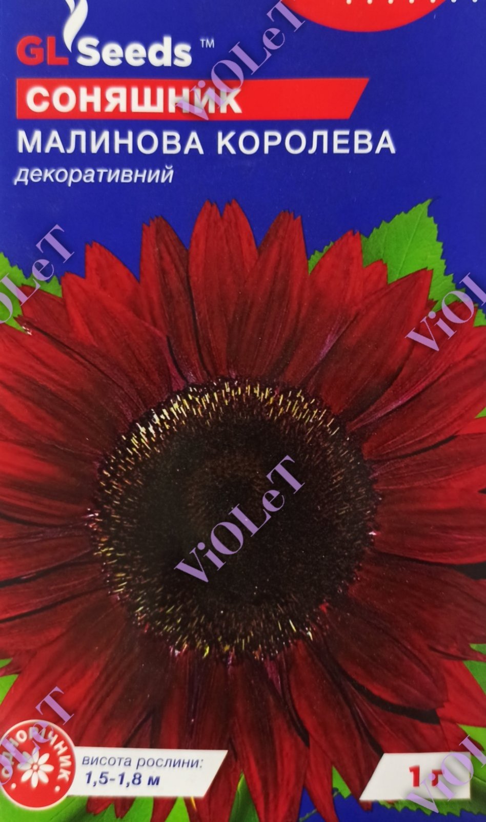 Соняшник Малинова Королева декоративний, 1 г GL Seeds