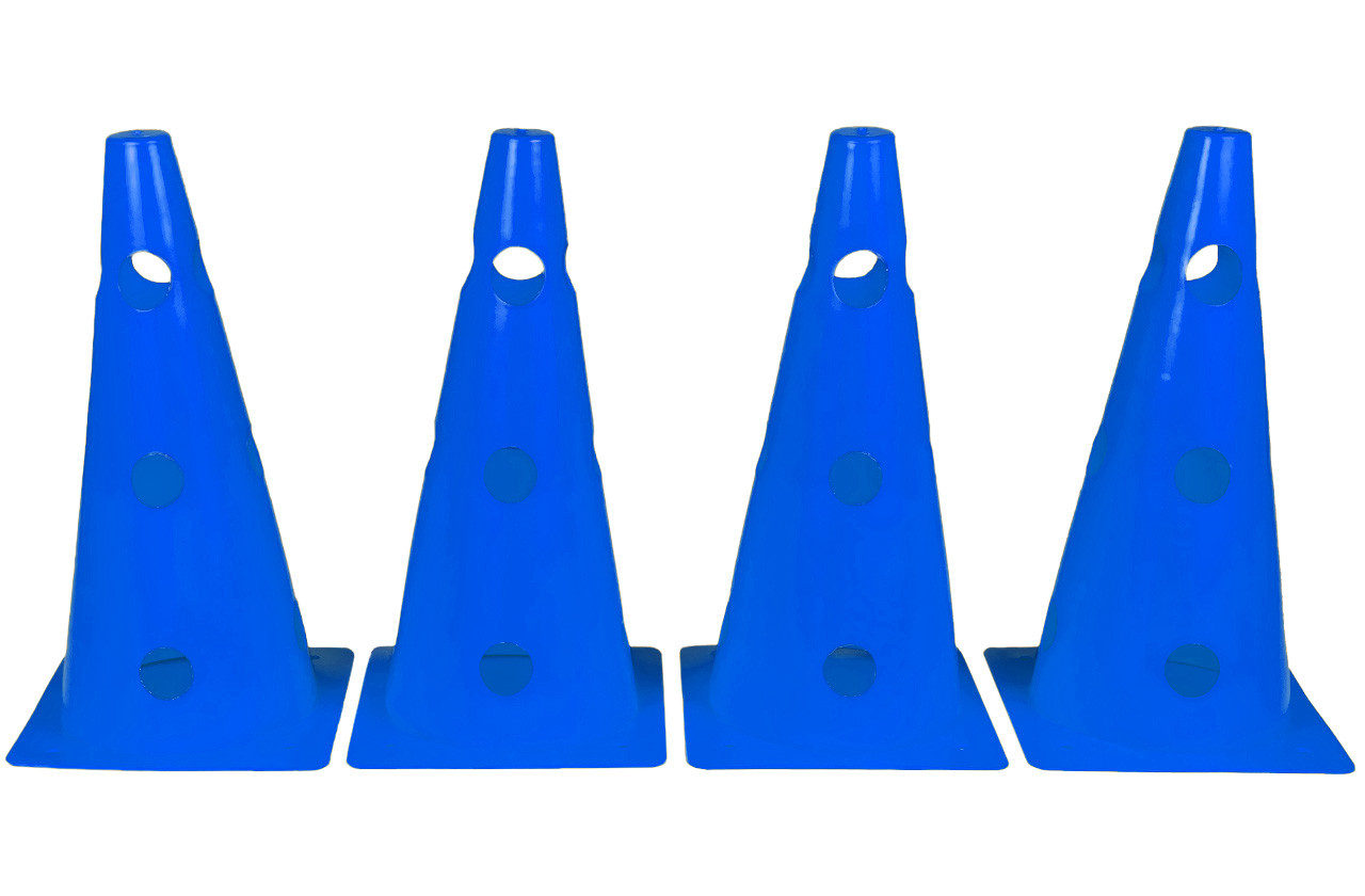 Конуси-фішки спортивні EasyFit 31 см (набір з 4 штук) сині