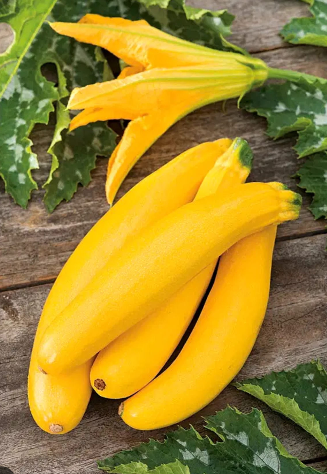 Кабачок цукіні банани 2 г