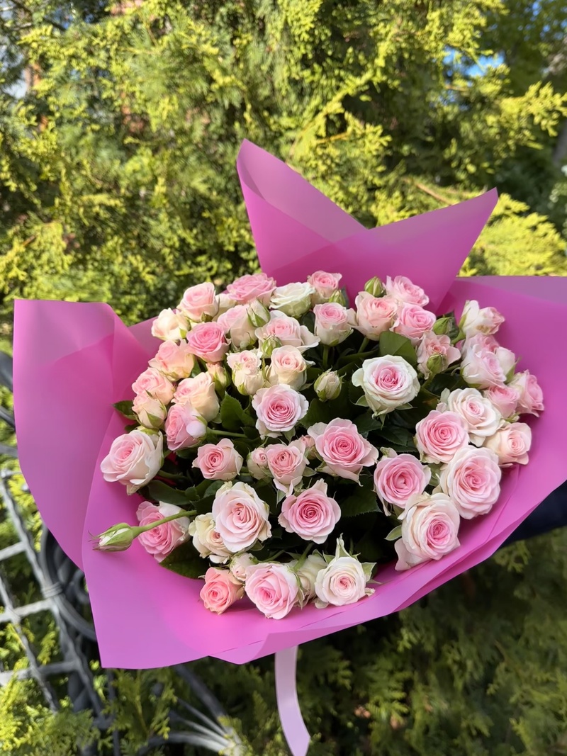 41 гілкова троянда "Гуд Муд"