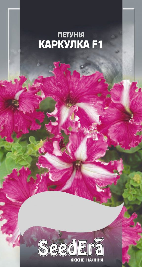 Насіння Квіти Петунія великоквіткова низькоросла з бахромчастим краєм Каркулка F1, 10 шт