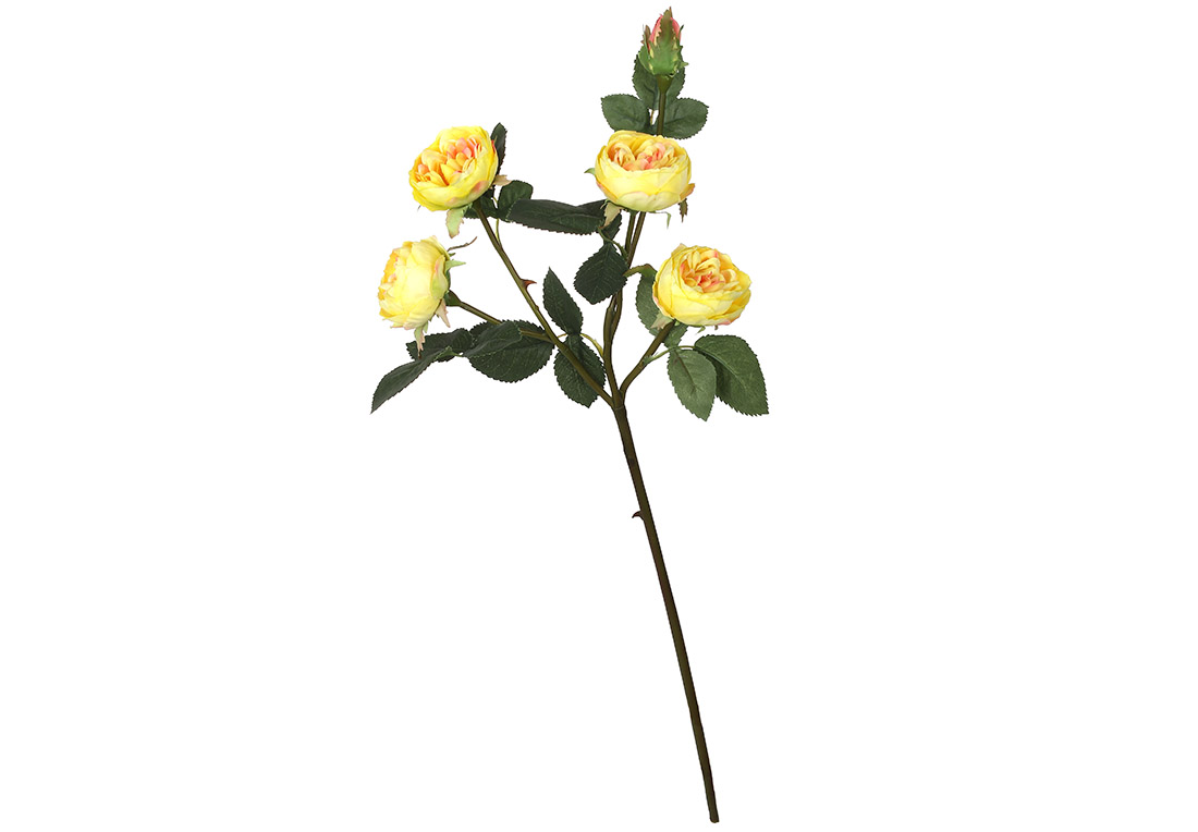 Троянда на стеблі жовта