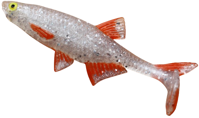 Alburnus Shad 4.2