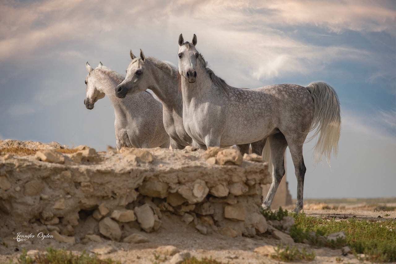Sisters at Al Jumail (11)
