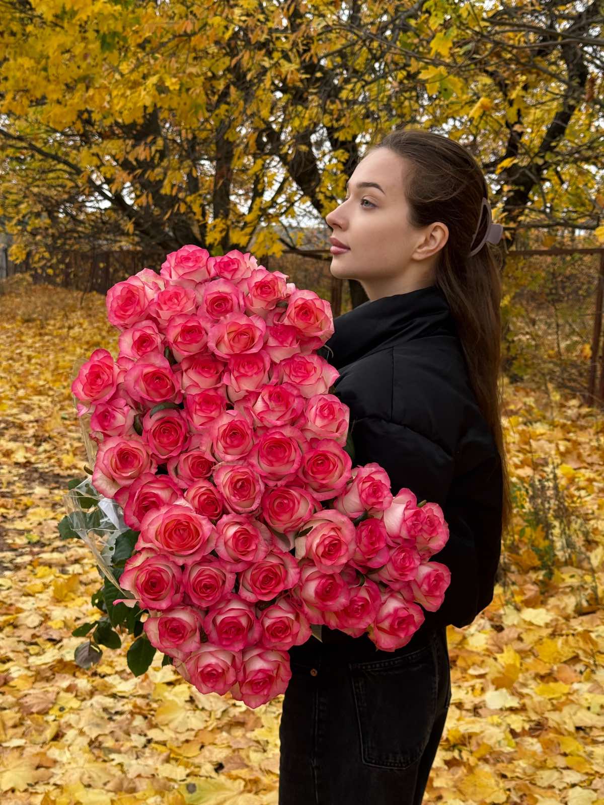 Рожево-біла троянда "Джумілія"