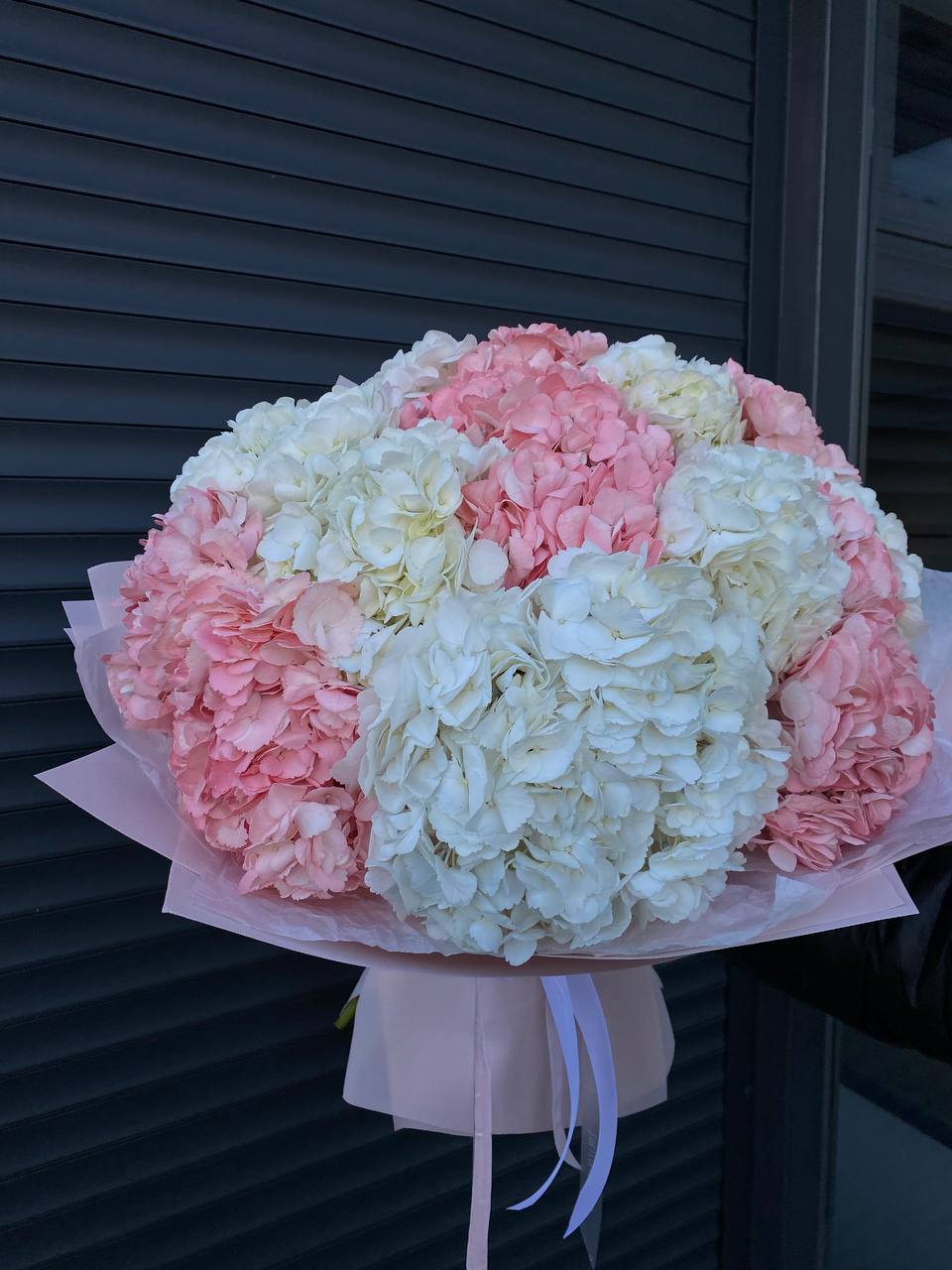 19 гортензій в упакуванні