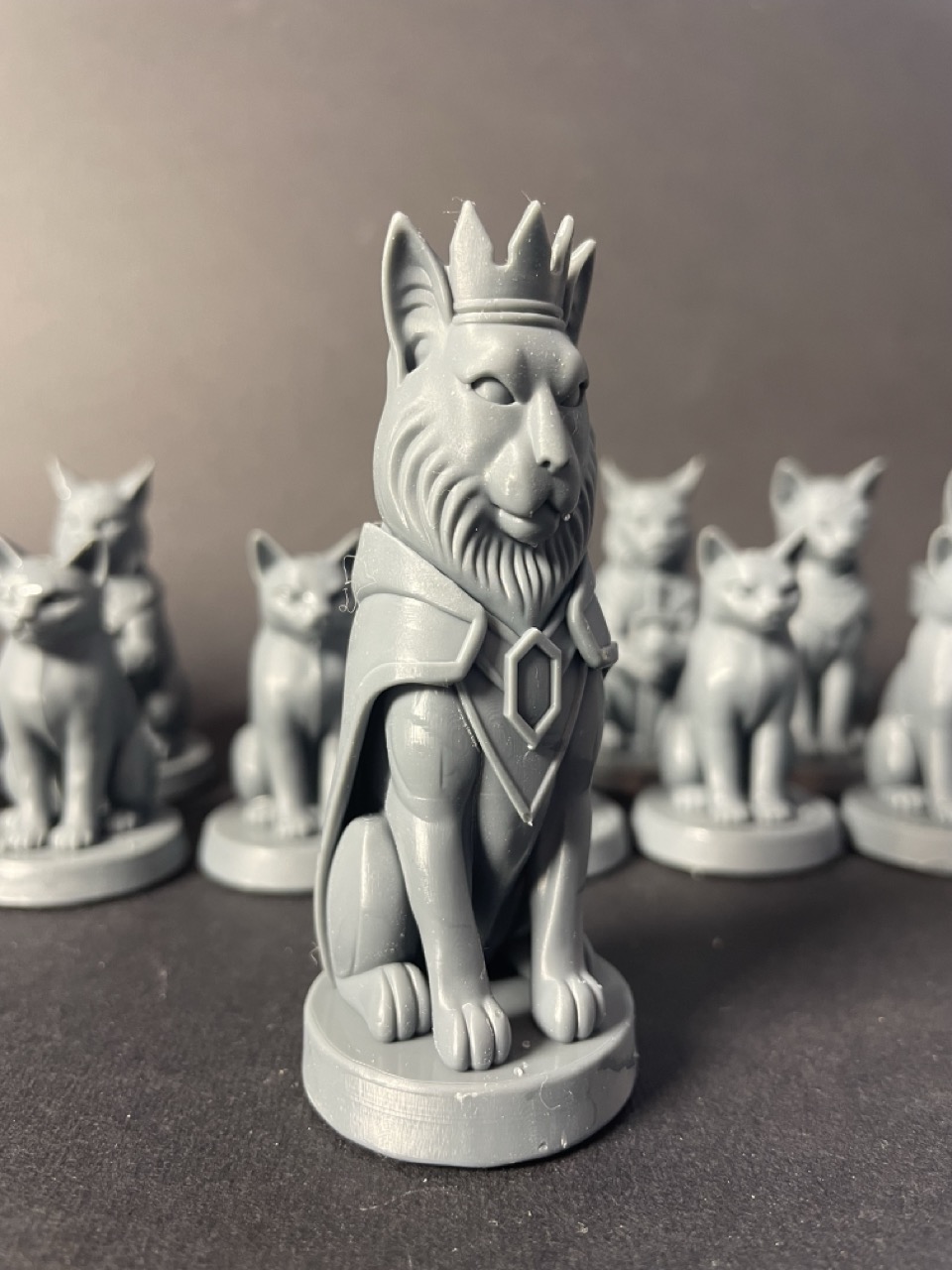 Шахи Коти Собаки