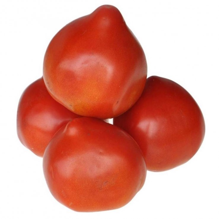 Томат Чигидо 1 г «НИЦССА» (Молдова)