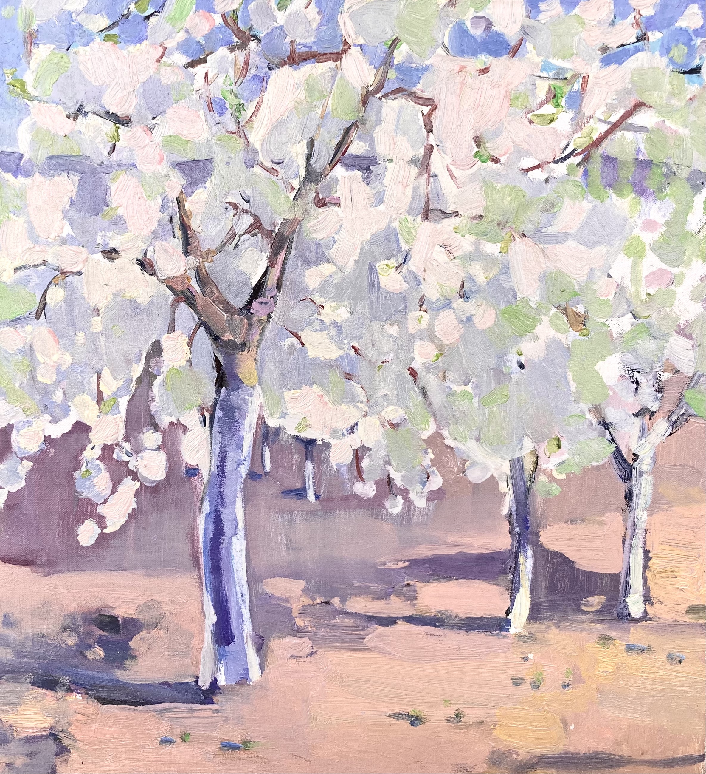 Blooming garden, 2022, 35x32 sm, oil on canvas