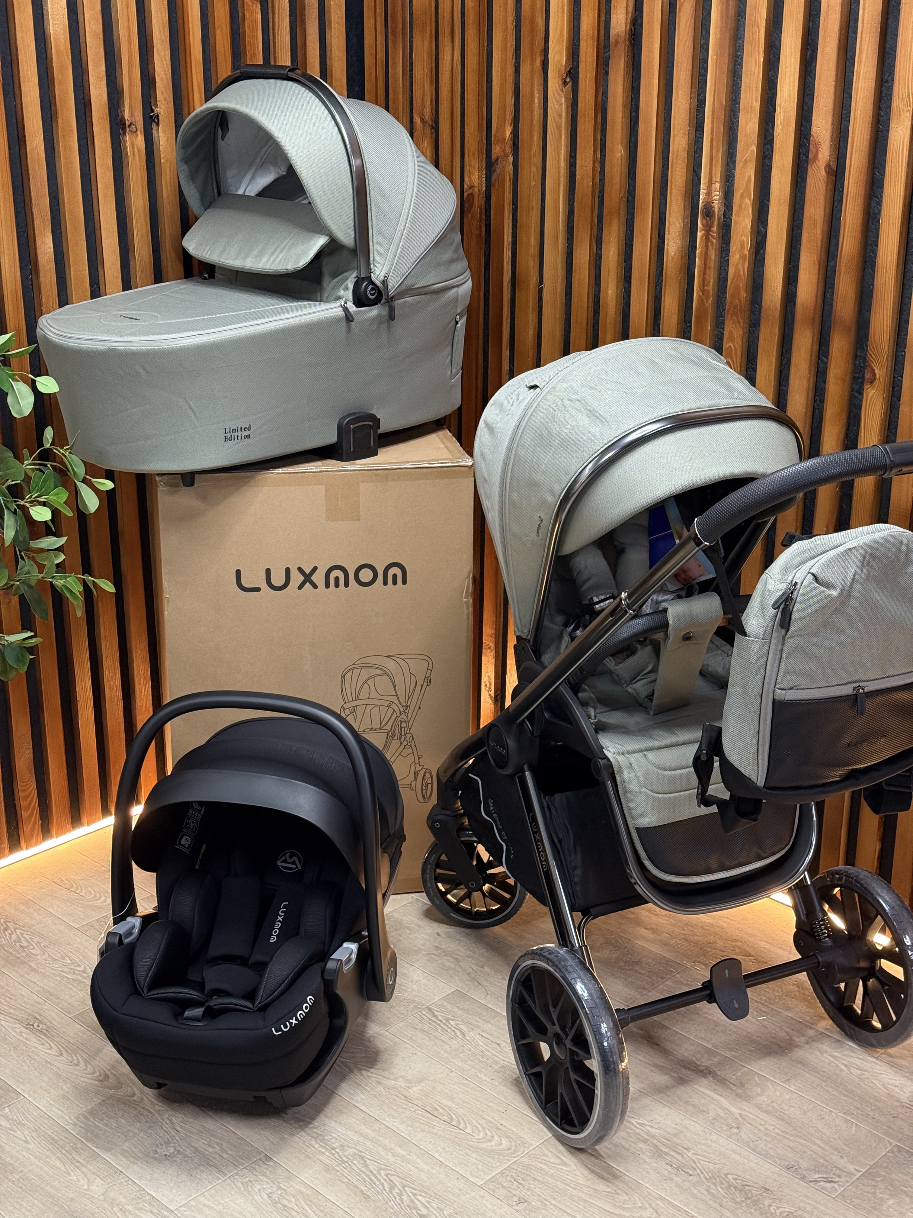 Дитяча коляска POTÉ LUXMOM 888 фісташка