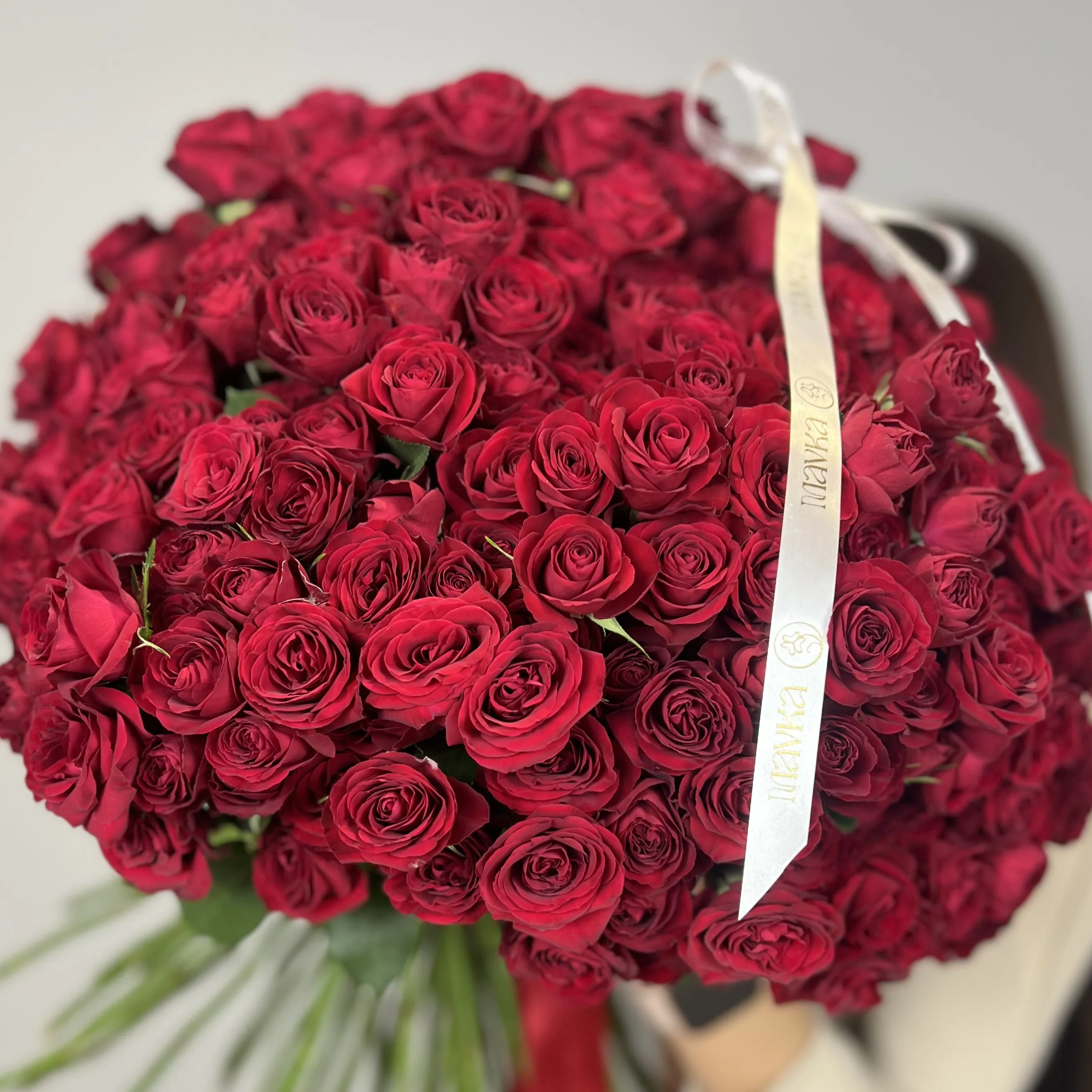 Trendsetter Garden Roses