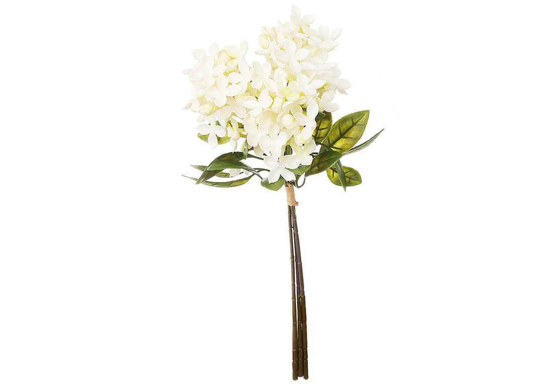 Букет білого бузку