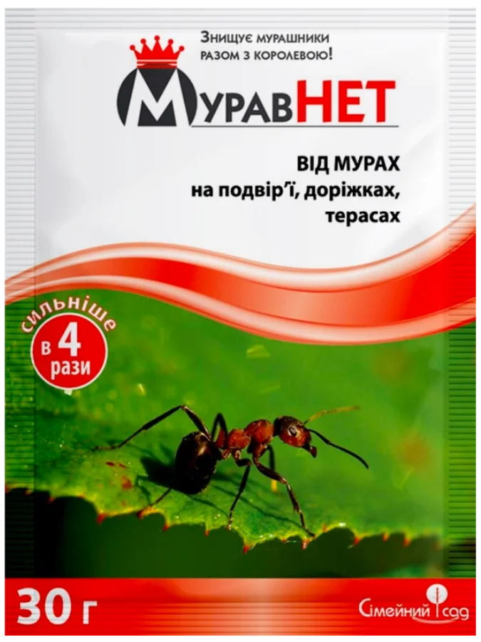 МуравНЕТ 30 г.