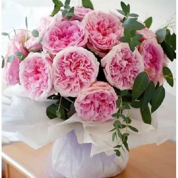 Міранда (Miranda)