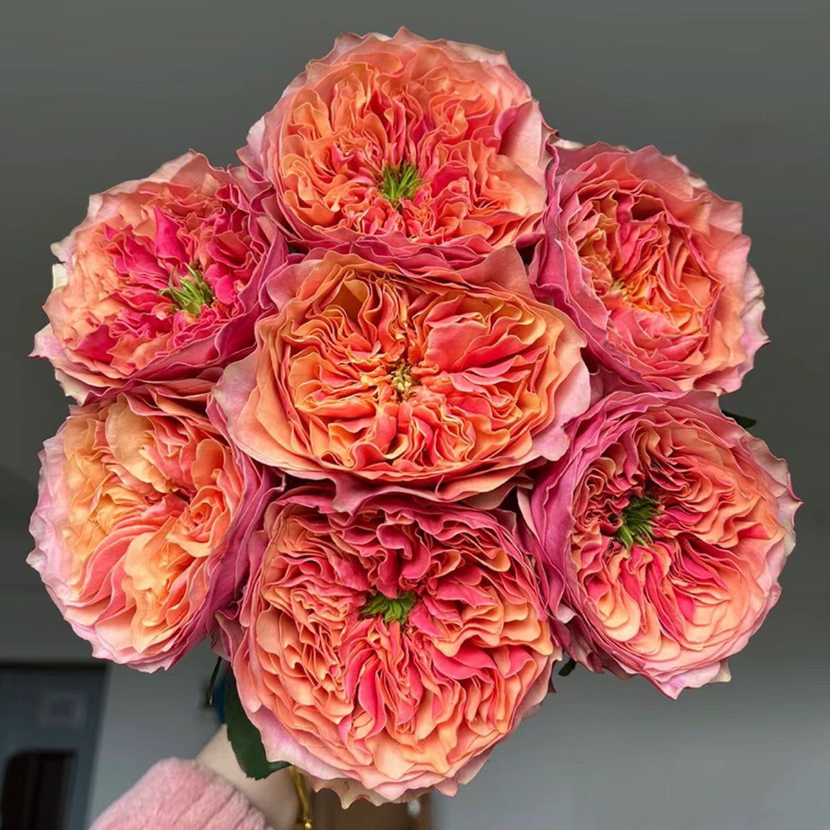 Кенсінгтон Гарден (Kensington Gardens)