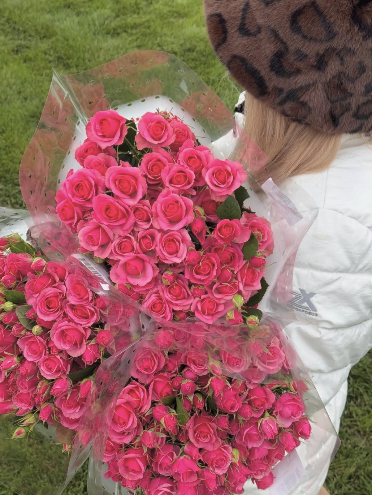 Гілкова троянда "Алексін"