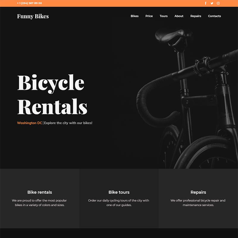 Bicycle Rentals
