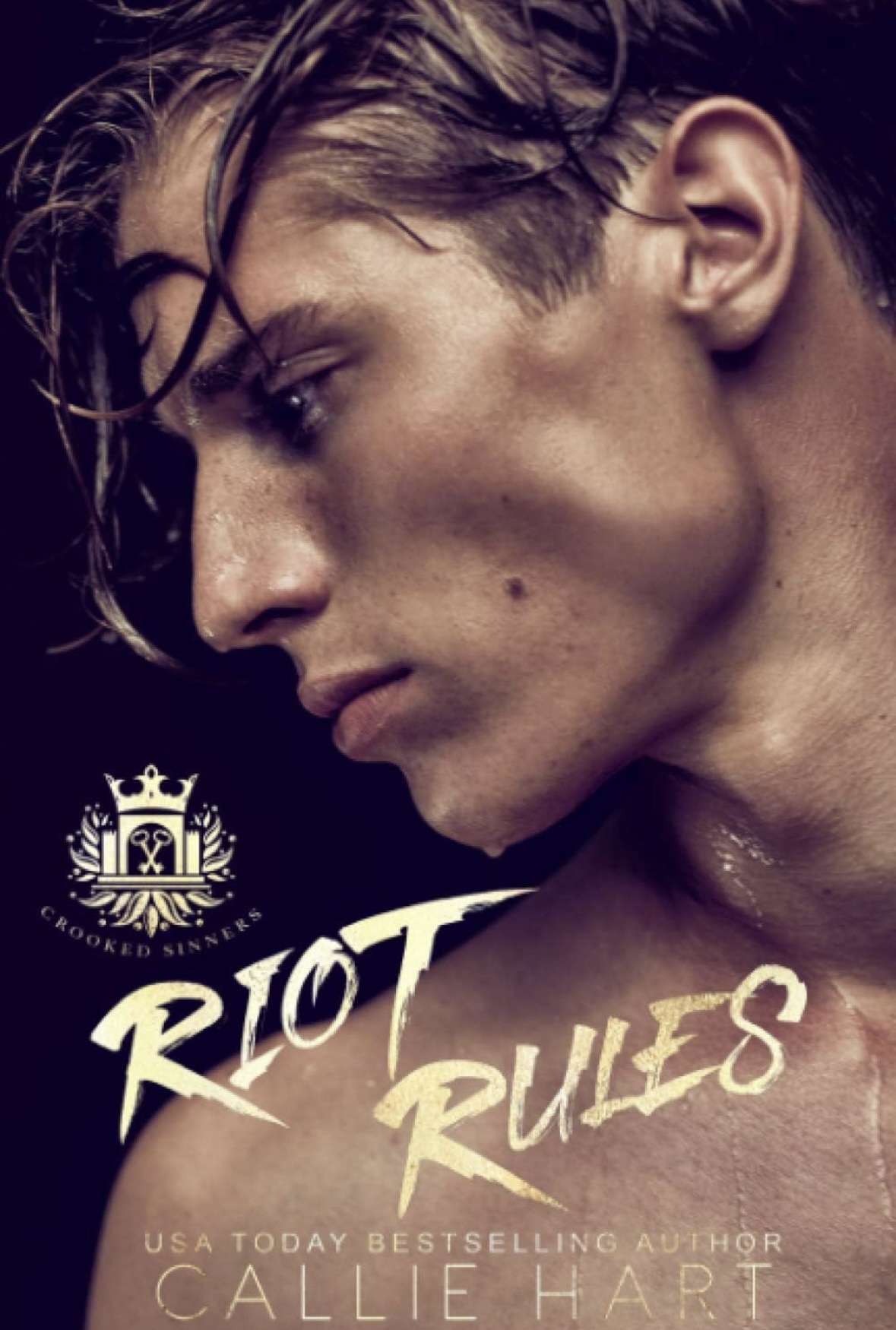 Riot Rules (Crooked Sinners) Callie Haurt book 2