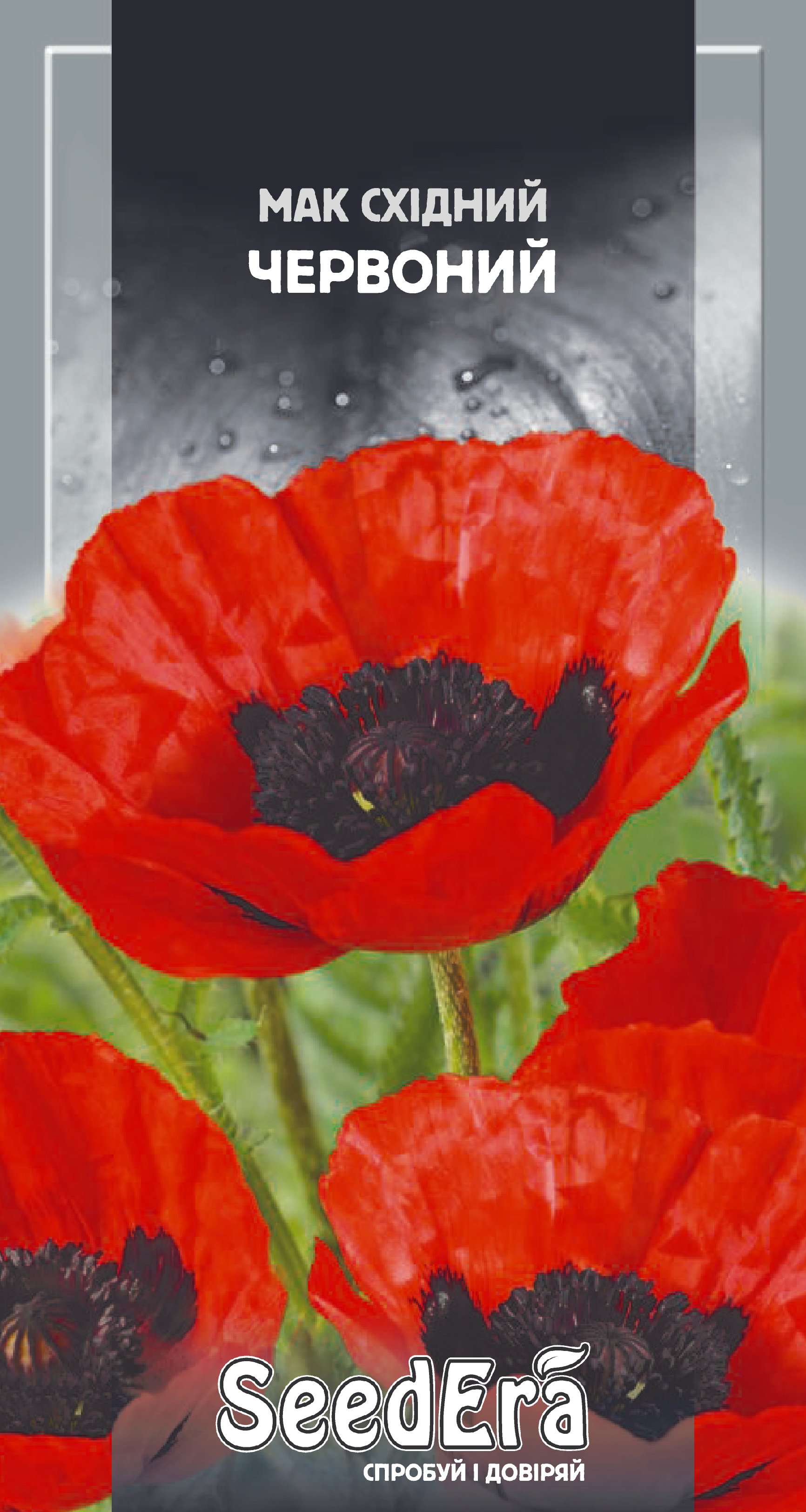 Насіння Квіти Мак східний червоний багаторічний, 0,1 г