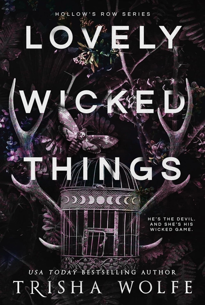 Lovely Wicked Things: 3 (Hollow's Row) Trisha Wolfe