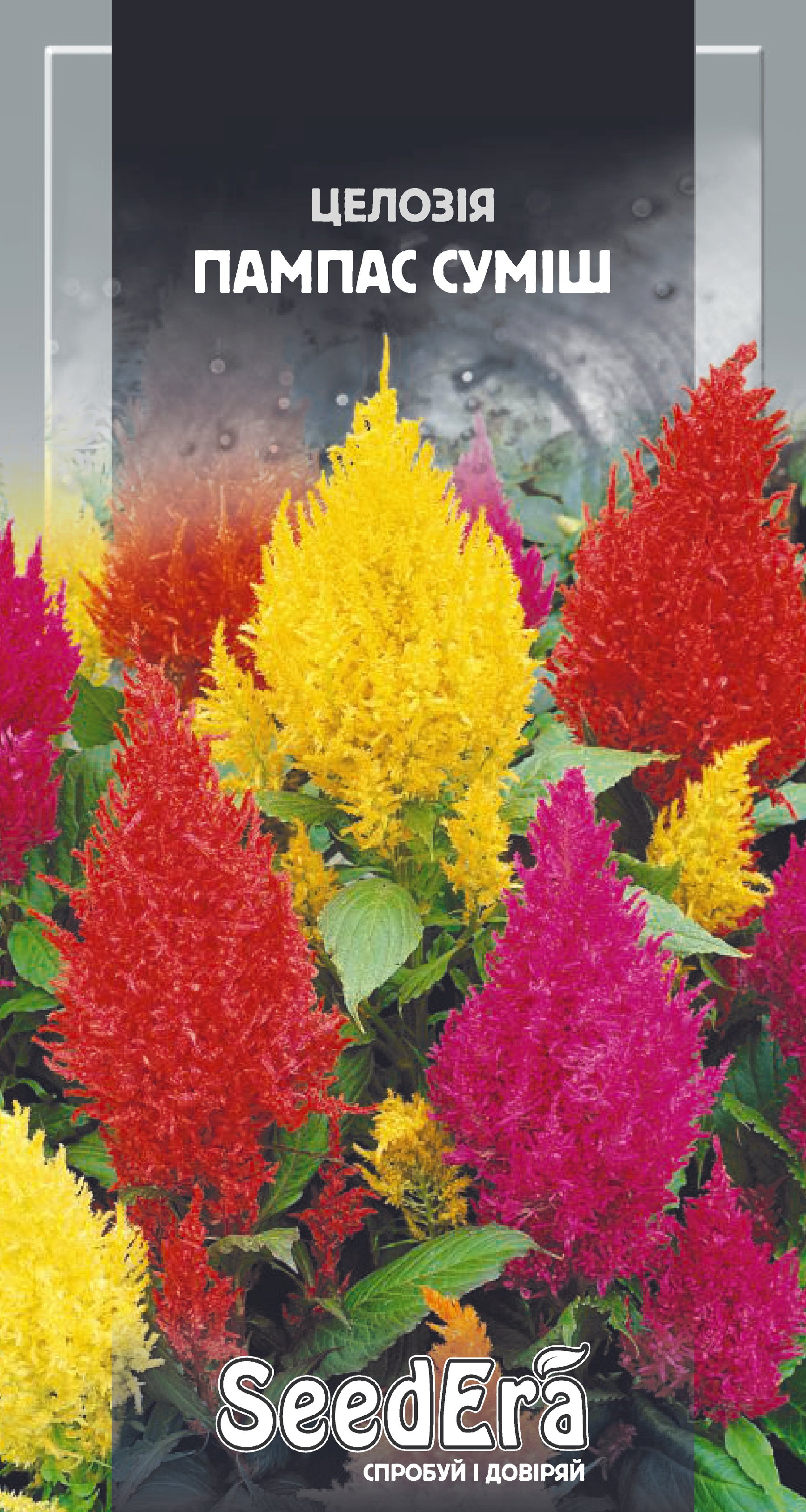 Насіння Квіти Целозія периста Пампас суміш, 0,2 г