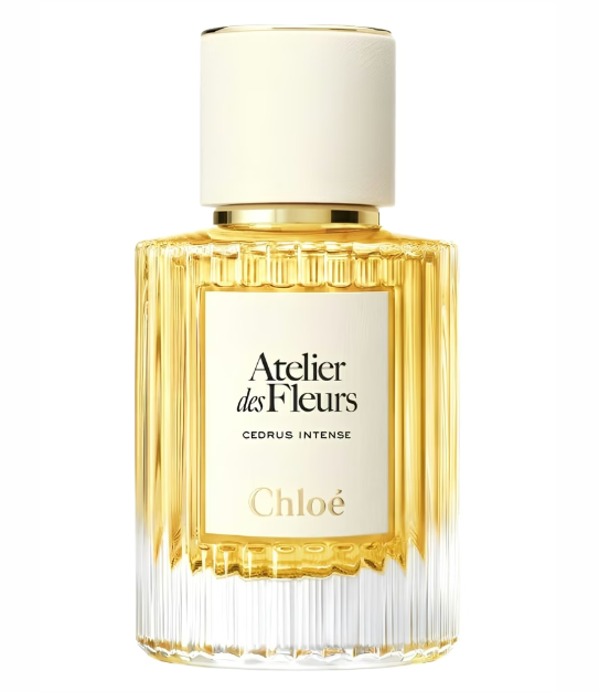 Chloé Cedrus Intense