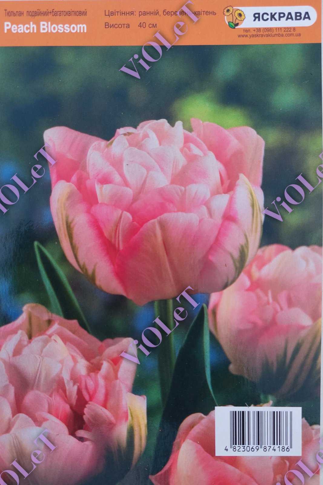 Peach Blossom, тюльпан махровий+багатоквітковий, 20/11, 1 шт.