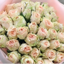 ВЕДІНГ РОУЗ ( Wedding Rose) зрізочна чайногібридна новинка