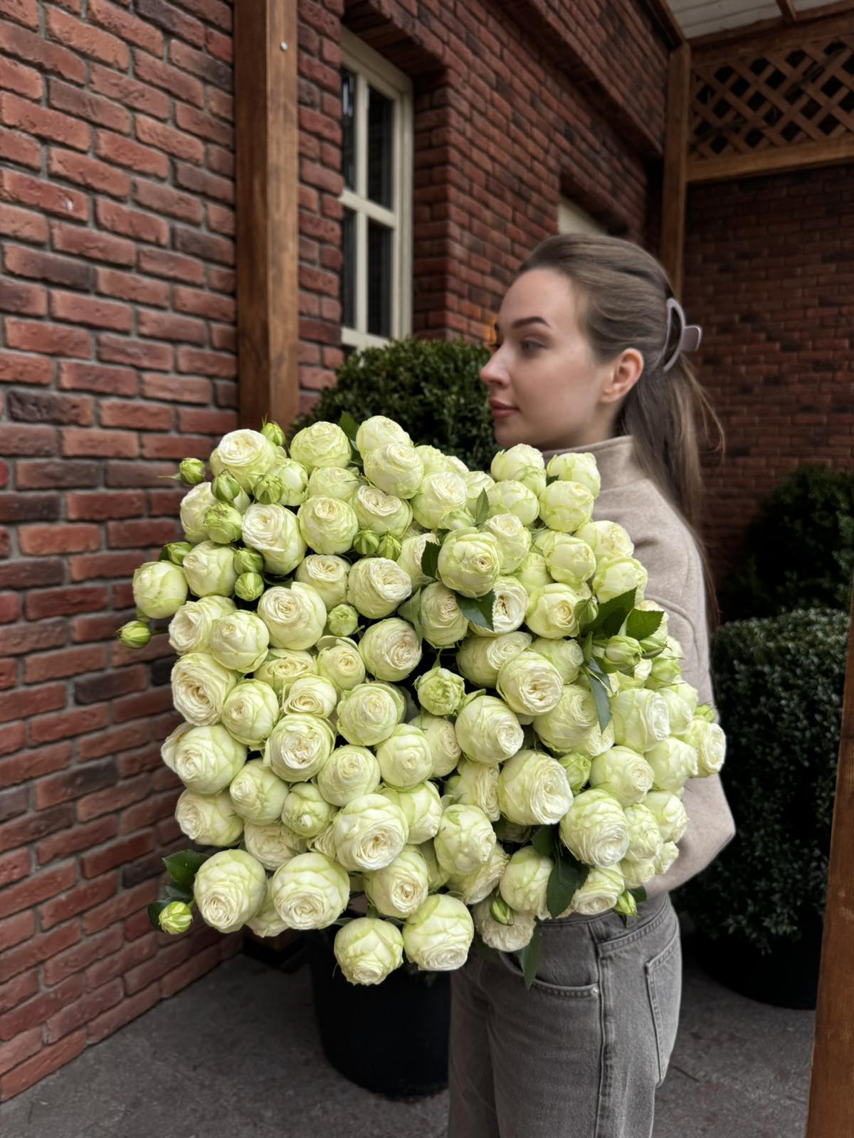 Гілкова піоновидна троянда "Сноу Ворд"