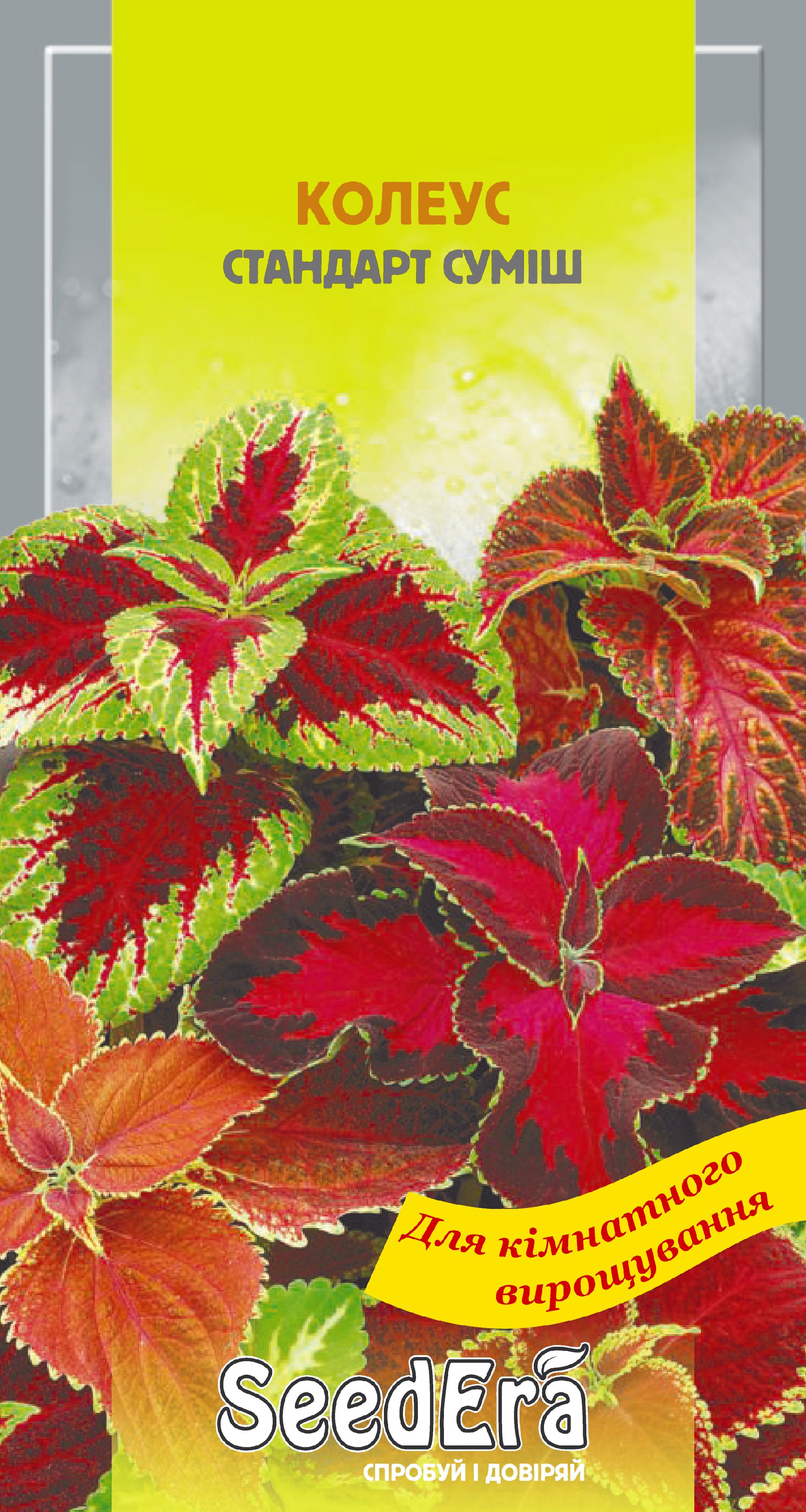 Насіння Міні-кімнатні Квіти Колеус Стандарт суміш, 0,1 г