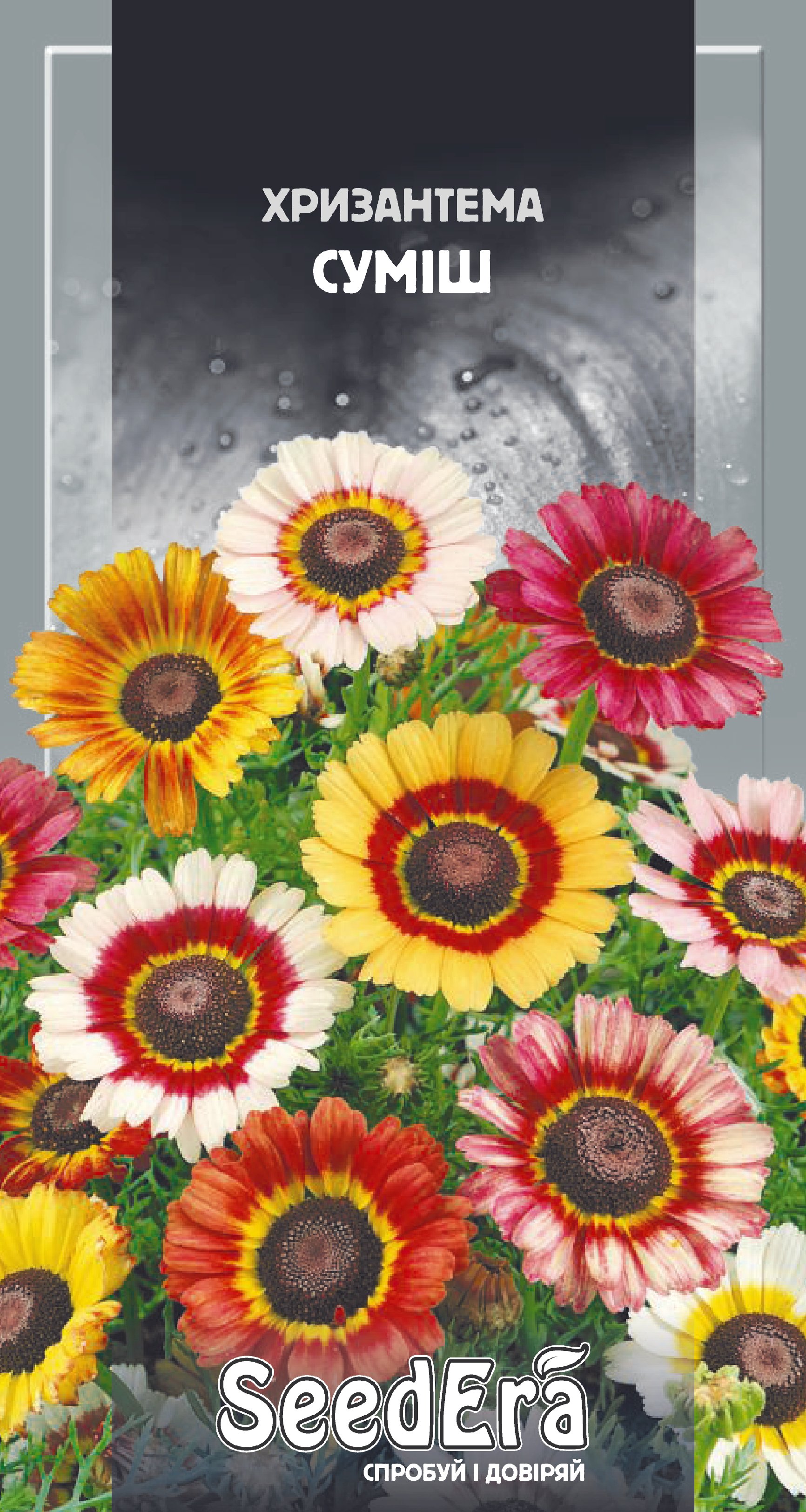 Насіння Квіти Хризантема суміш, 0,2 г