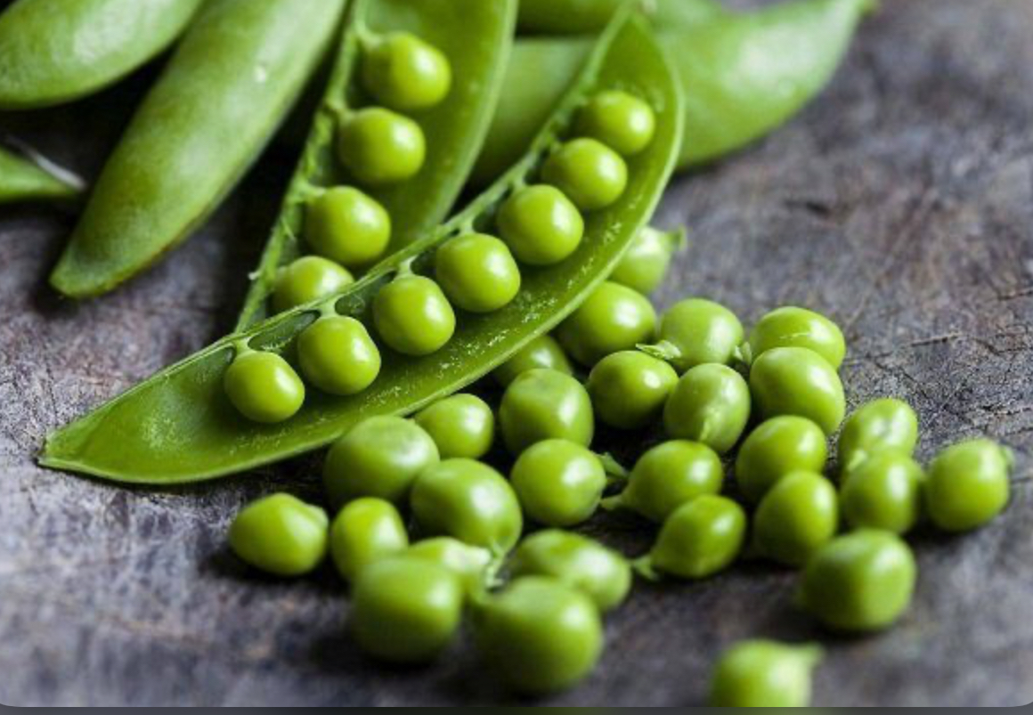 Горох Преладо (20 н) SG