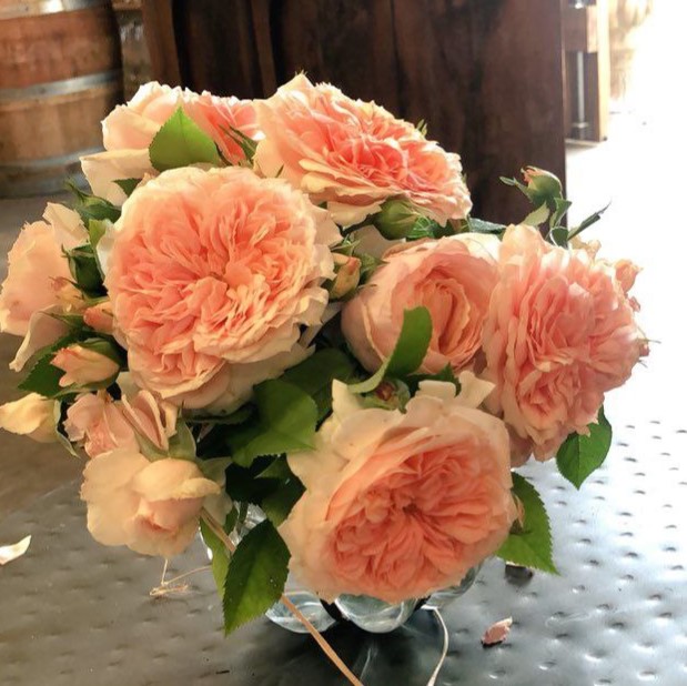 Номзамо (Nomzamo)