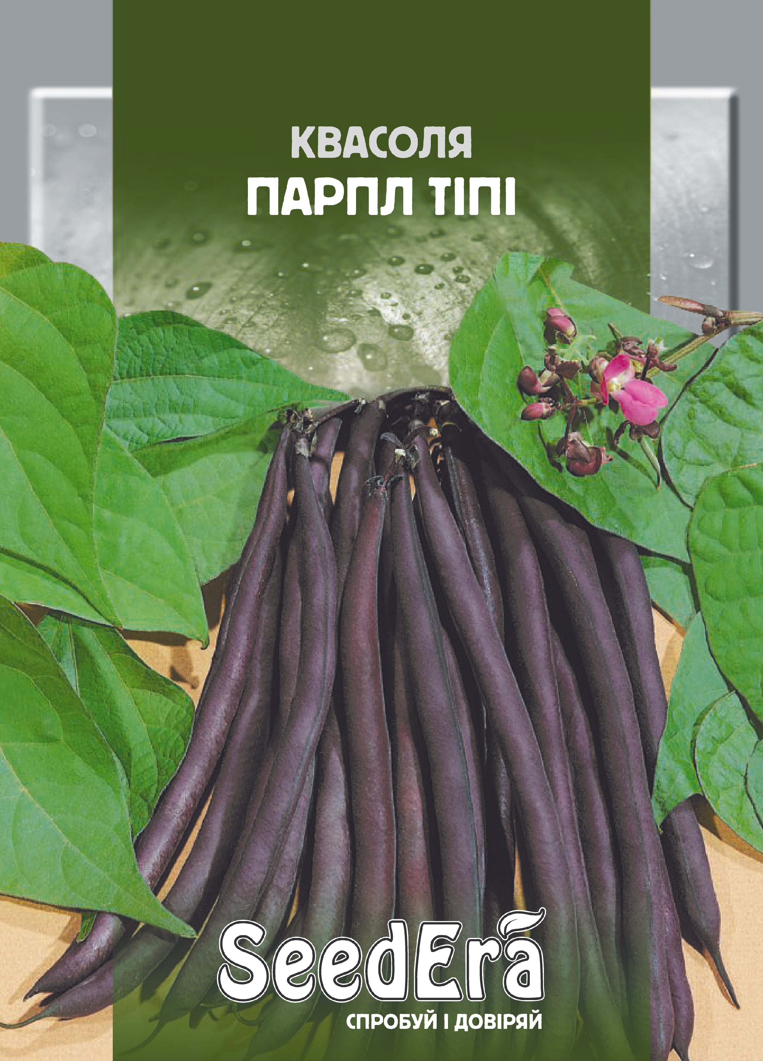 Насіння Квасоля спарж. кущова ПАРПЛ ТІПІ (фіолет) 20г