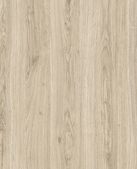 Дуб Арканзас Світлий